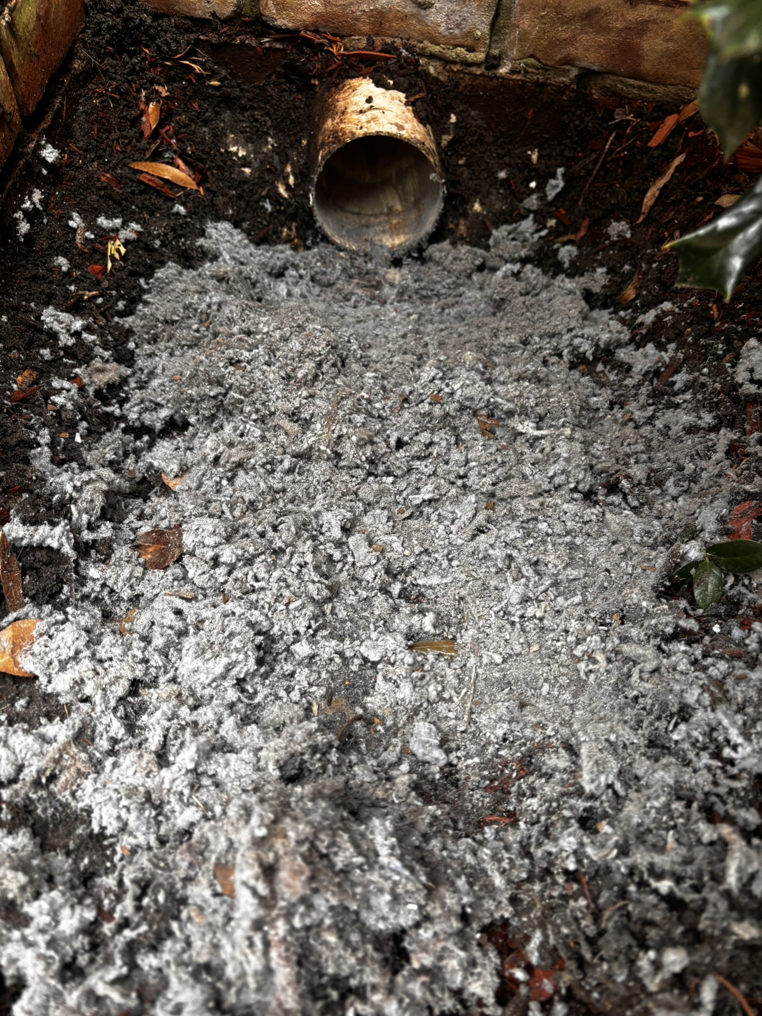 Gray fibrous material is scattered on soil beneath an open drainage pipe near a stone border.