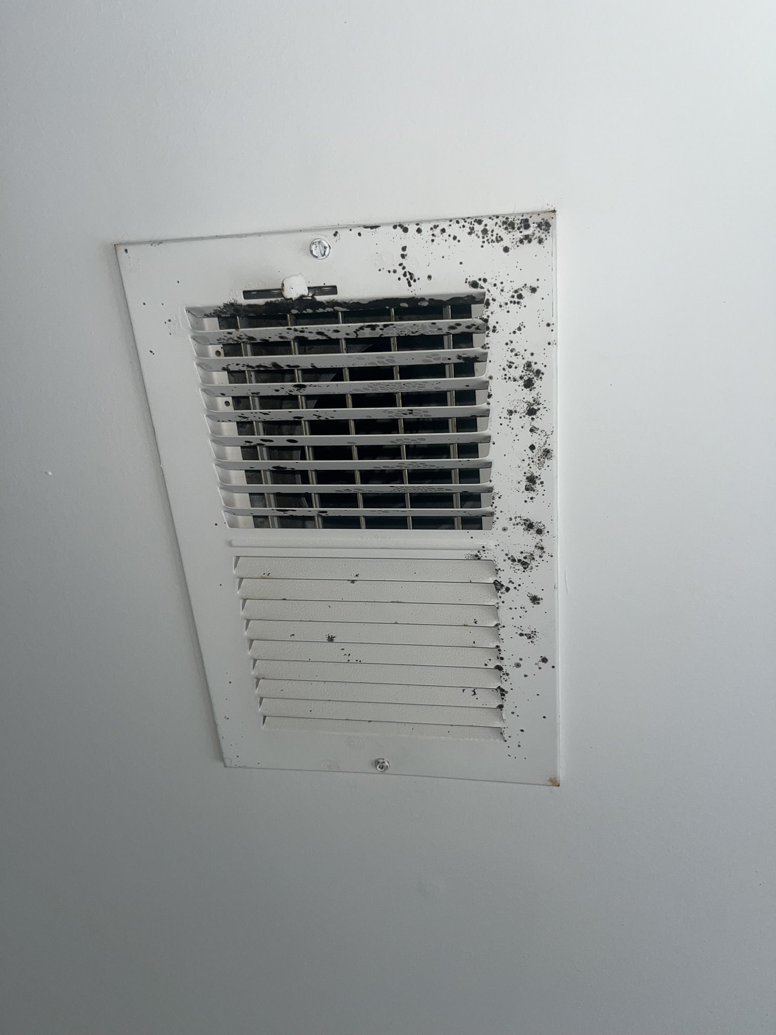 A ceiling air vent with visible black mold or dirt buildup concentrated on one side of the vent cover.